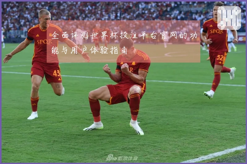 全面评测世界杯投注平台官网的功能与用户体验指南