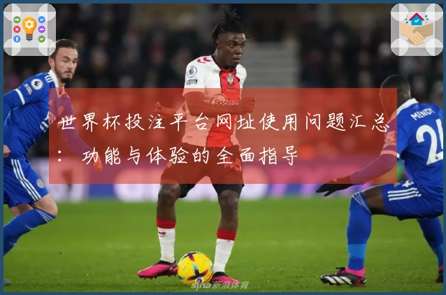 世界杯投注平台网址使用问题汇总：功能与体验的全面指导