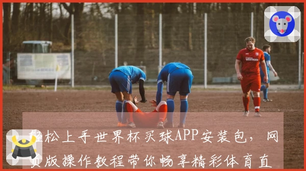 轻松上手世界杯买球APP安装包，网页版操作教程带你畅享精彩体育直播