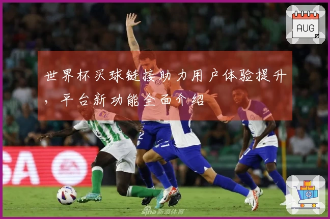 世界杯买球链接助力用户体验提升，平台新功能全面介绍