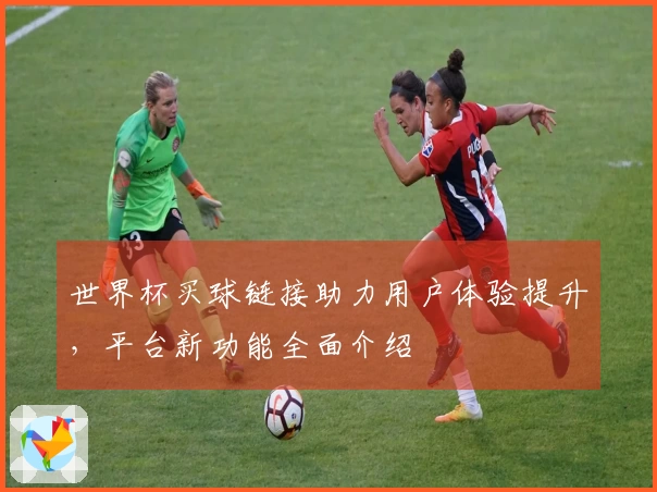 世界杯买球链接助力用户体验提升，平台新功能全面介绍