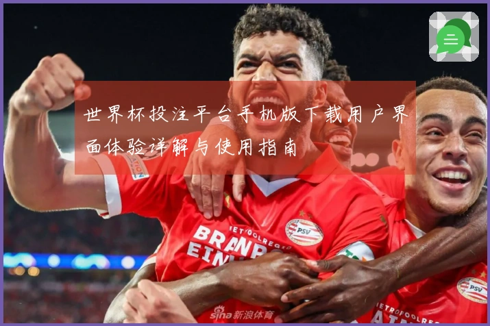 世界杯投注平台手机版下载用户界面体验详解与使用指南
