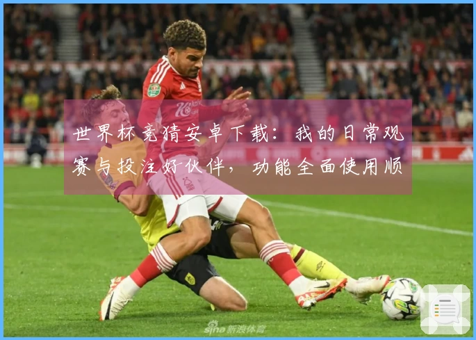 世界杯竞猜安卓下载：我的日常观赛与投注好伙伴，功能全面使用顺心