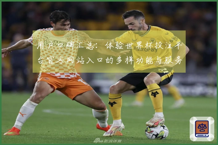 用户口碑汇总：体验世界杯投注平台官方网站入口的多样功能与服务