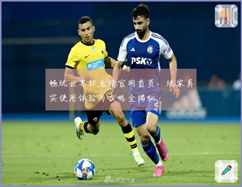 畅玩世界杯竞猜官网首页，玩家真实使用体验与攻略全揭秘