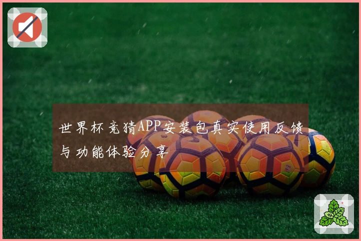 世界杯竞猜APP安装包真实使用反馈与功能体验分享