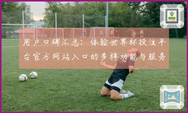 用户口碑汇总：体验世界杯投注平台官方网站入口的多样功能与服务
