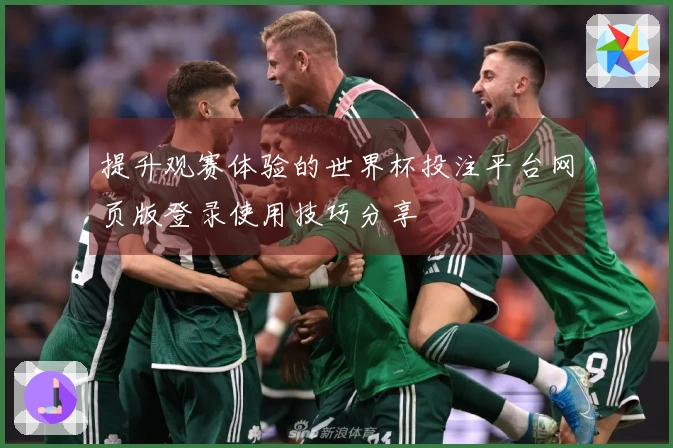 提升观赛体验的世界杯投注平台网页版登录使用技巧分享