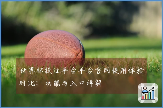 世界杯投注平台平台官网使用体验对比：功能与入口详解
