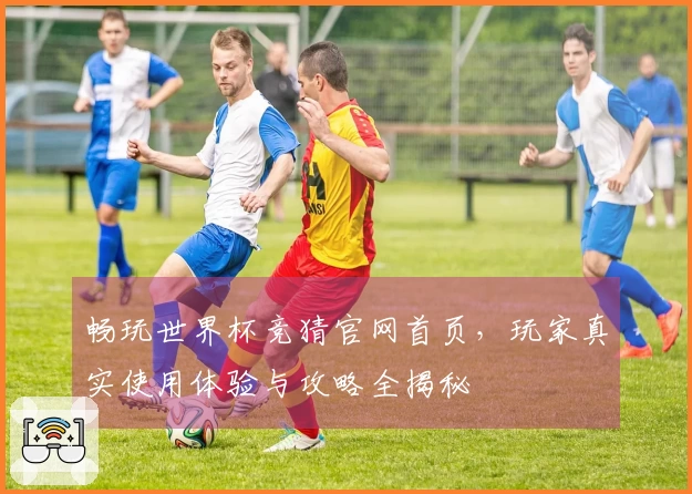 畅玩世界杯竞猜官网首页，玩家真实使用体验与攻略全揭秘